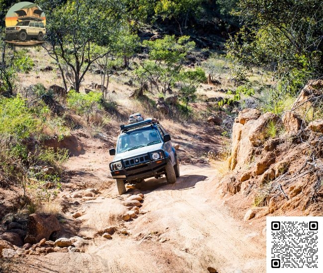 Supporting Sustainable Travel Across Western Australia